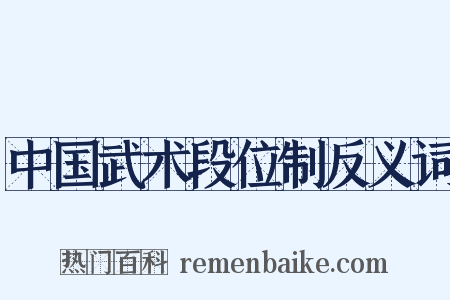 中国武术段位制反义词是什么意思的图片